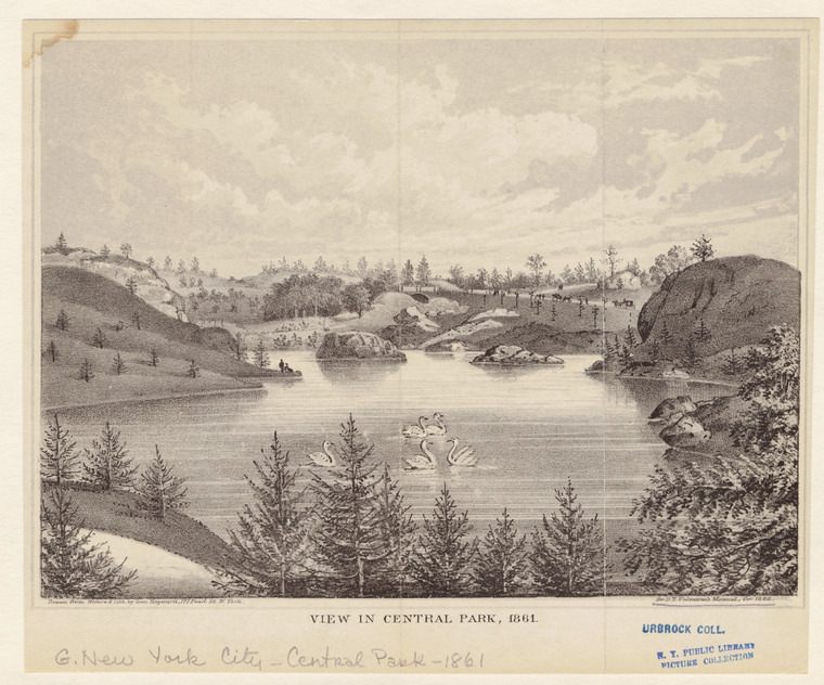 View In Central Park, 1861., Digital ID 800741, New York Public Library