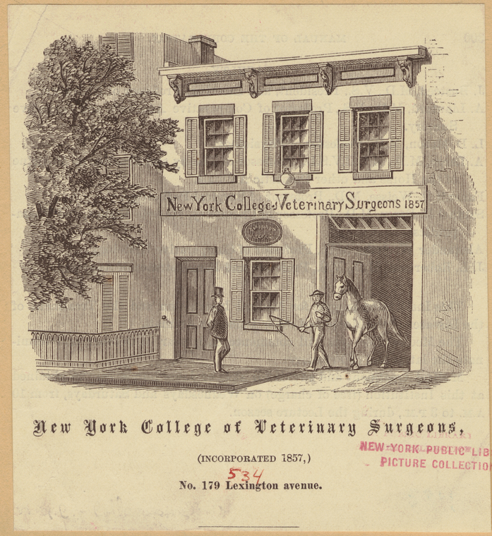 New York College Of Veterinary Surgeons, (Incorporated 1857,) No. 179 Lexington Ave., Digital ID 801222, New York Public Library