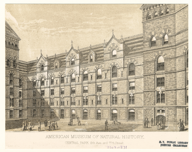 American Museum Of Natural History, Central Park 8th Ave. And 77th Street., Digital ID 805861, New York Public Library