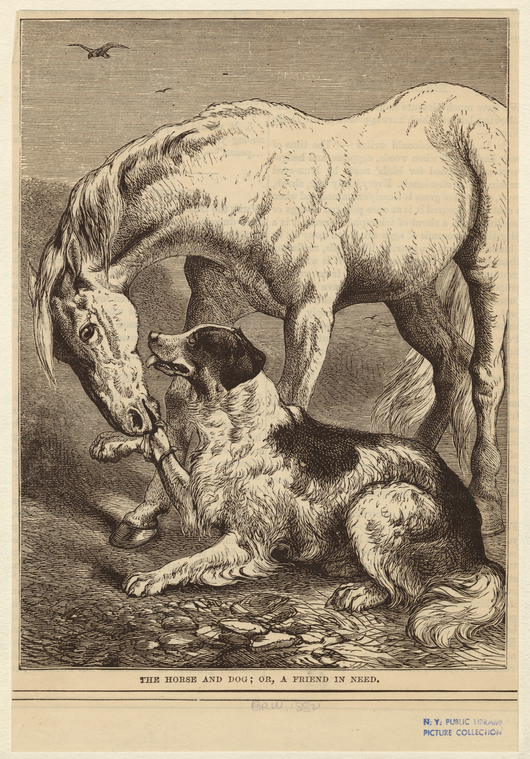 The Horse And Dog ; Or, A Friend In Need., Digital ID 822670, New York Public Library