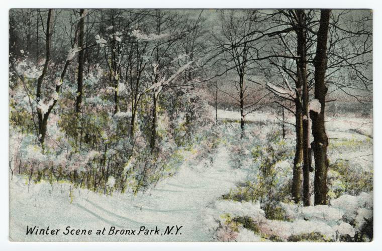 Winter scene at Bronx Park, N.Y., Digital ID 836877 , New York Public Library