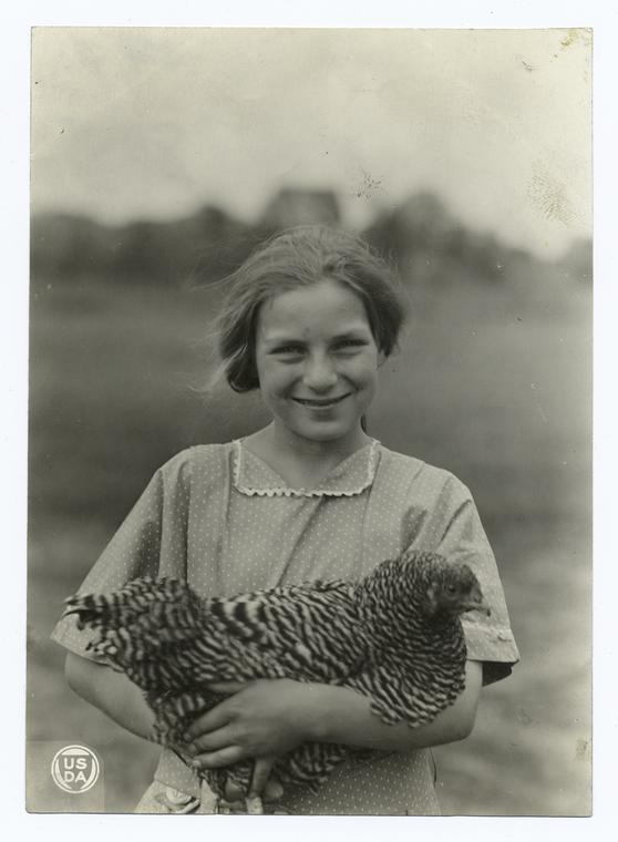 A Member of the Poultry Club., Digital ID 92240, New York Public Library