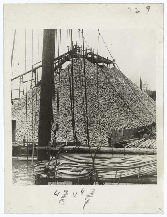 Oyster shells for oyster "farming"., Digital ID 92286, New York Public Library