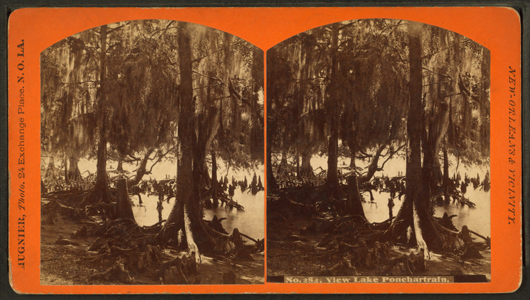 New Orleans & vicinity.,View Lake Ponchartrain., Digital ID G90F204_041ZF, New York Public Library