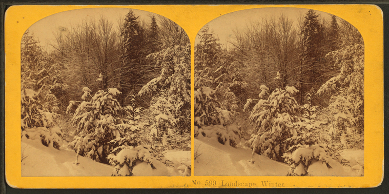 Landscape, Winter., Digital ID g91f010_024f, New York Public Library