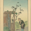 The old woman who lost her dumpling