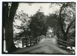 The rude bridge that arched the flood.