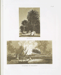Bivouac; Incendio de Salamièh.