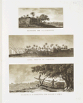 Mansione per le caravane; Altra veduta di Zaouyeh; Nahourah [= noria] o macchina per elevar l'acqua.