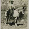 Theodore Roosevelt as a hunter