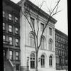 Harlem branch,"When the tree was young"