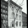 Harlem branch,"When the tree was young"