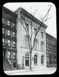 Harlem branch,"When the tree was young"