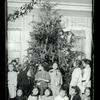 Hudson Park, Christmas tree at Greenwich Settlement