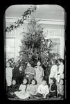 Hudson Park, Christmas tree at Greenwich Settlement