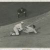 The Umpire