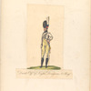 Bataafsche Republiek. Dutch Off-r of Light Dragoons, 2nd Regiment. 1805
