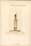Bataafsche Republiek. Dutch Off-r of Light Dragoons, 2nd Regiment. 1805
