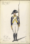 Bataafsche Republiek. Fusilier 7-e en 8-e Linie Inf. Regiment. 1805