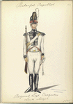 Bataafsche Republiek. Regiment Light Dragonder, Livte [?] vleugel. 1805