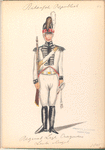 Bataafsche Republiek. Regiment Light Dragonder, Livte [?] vleugel. 1805