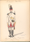 Bataafsche Republiek. Regiment Light Dragonder, Regle vleugel. 1805