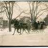 Sleighing in Central Park