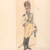 Bataafsche Republiek. Light Dragonder (naar Weiland). 1806