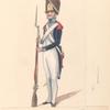W2  Grenadier, 6-e Regiment Infanterie. Teekening naar C. F. Weiland. 1806