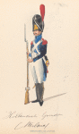 Bataafsche Republiek. Hollandisch Grenadier (Weiland). 1806