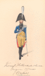 Bataafsche Republiek. Konigl. Hollandsche schweren Dragoner Officier (Weiland). 1806