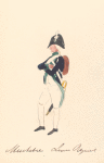 Bataafsche Republiek. Musketier Linie Regiment. 1806