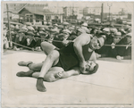 Strangler" Lewis (above) Wrestling With His Sparring Partner
