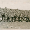 Chicago-Wisconsin Game, November 21, 1925