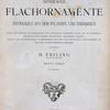 Moderne Flachornamente...