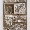 Plant forms, dancing women, snake, butterflies, cat and mice, geese