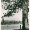 Feather River Park Golf Course, California