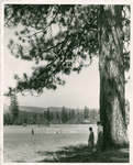 Feather River Park Golf Course, California