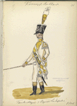 Koninklijk Holland. Tamboer Majoor 7 Regiment Linie Infanterie. 1806