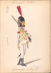 Koninklijk Holland. Grenadier 7 Regiment. 1806