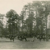 A Hunt Meet at Alken, South Carolina