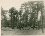 A Hunt Meet at Alken, South Carolina