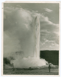 Geysers in Yellowstone National Park