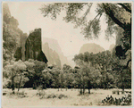 Temple of Sinawava, Zion National Park