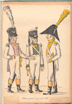 Officiers des 6-e, 7-e et 8-e reg-ts