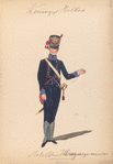 Koninklijk Holland. Artillerie [.]. 1807