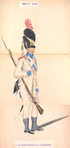 Koningryk Holland. 2-o Regiment Infanterie van Linie: Grenadier