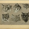 Chat.