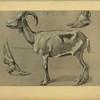 Chèvre.