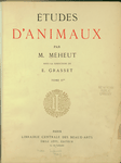 Études d'animaux
